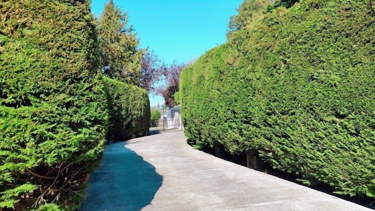 Photo of Outdoor in Cut Bush