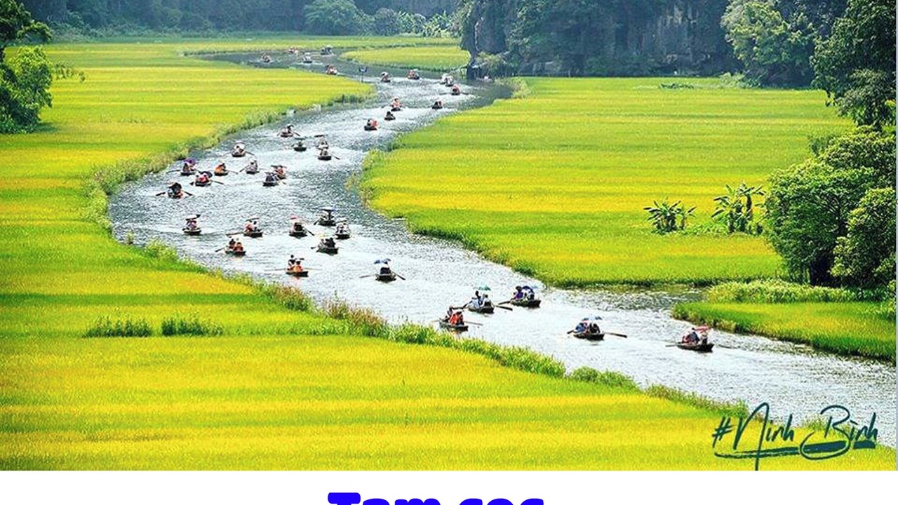 Photo of Others in Ninh Binh