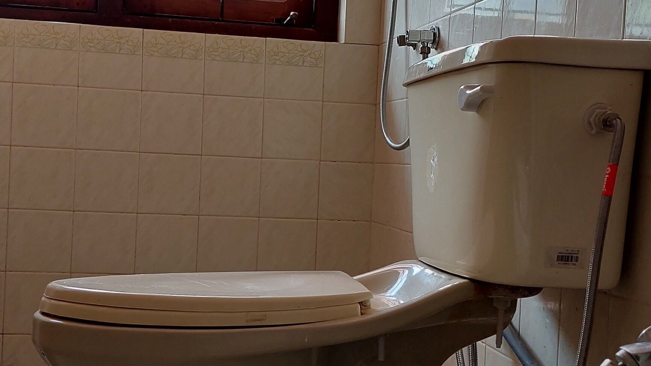 Photo of Bathroom in Primrose