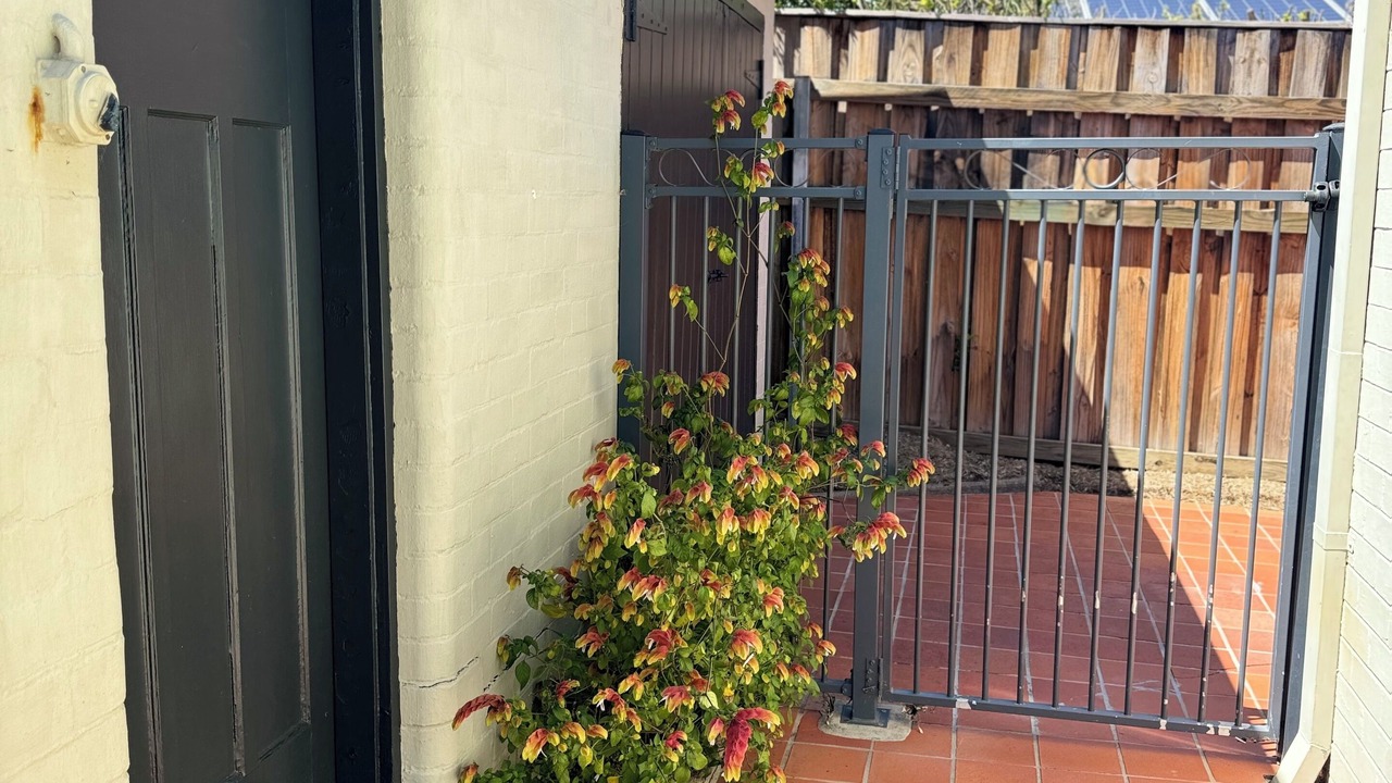 Photo of Outdoor in East Tamworth