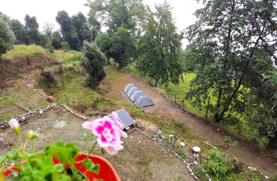 Photo of Outdoor in Kausani