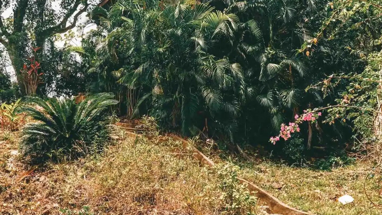 Photo of Outdoor in Gibson Bight