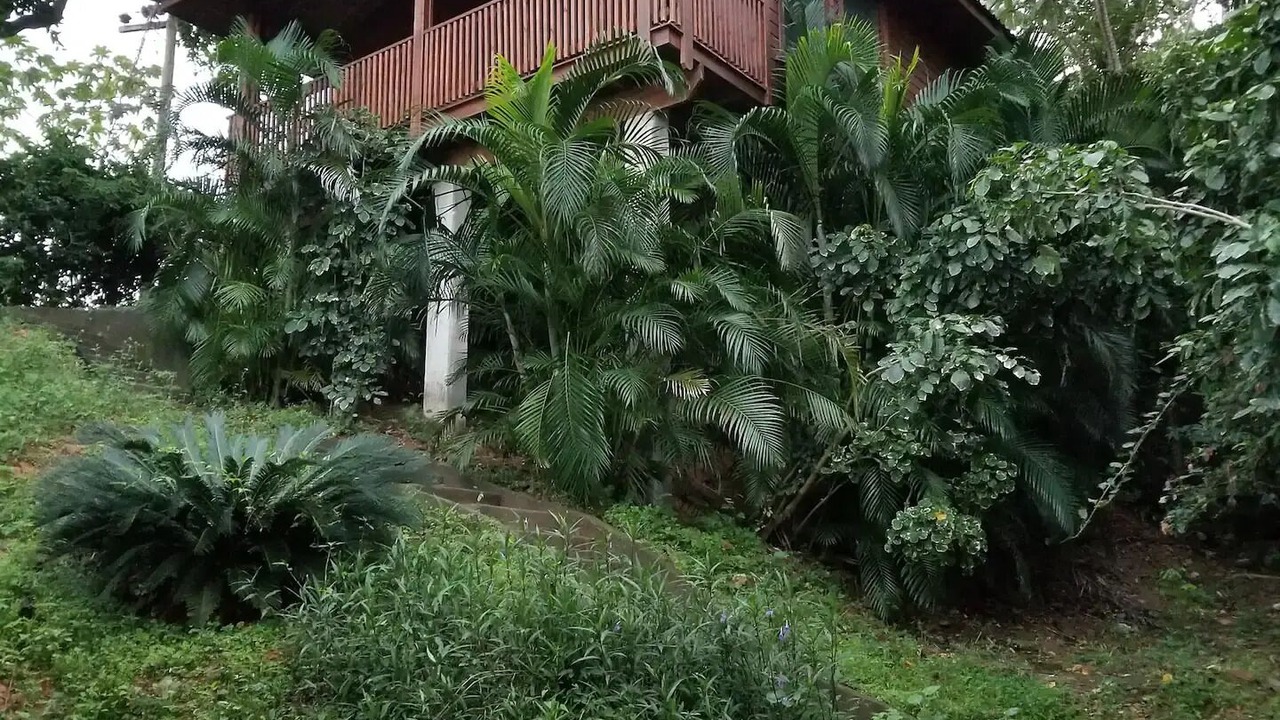 Photo of Outdoor in Gibson Bight