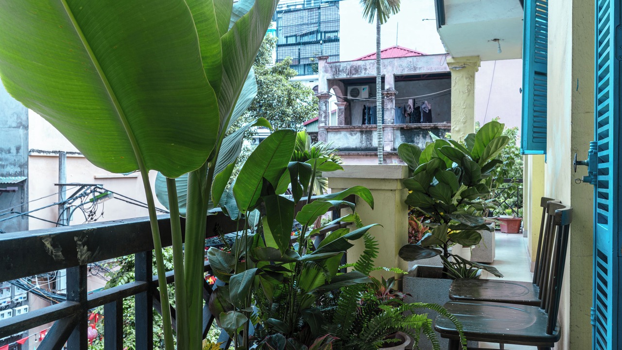 Photo of Outdoor in Yen Phu