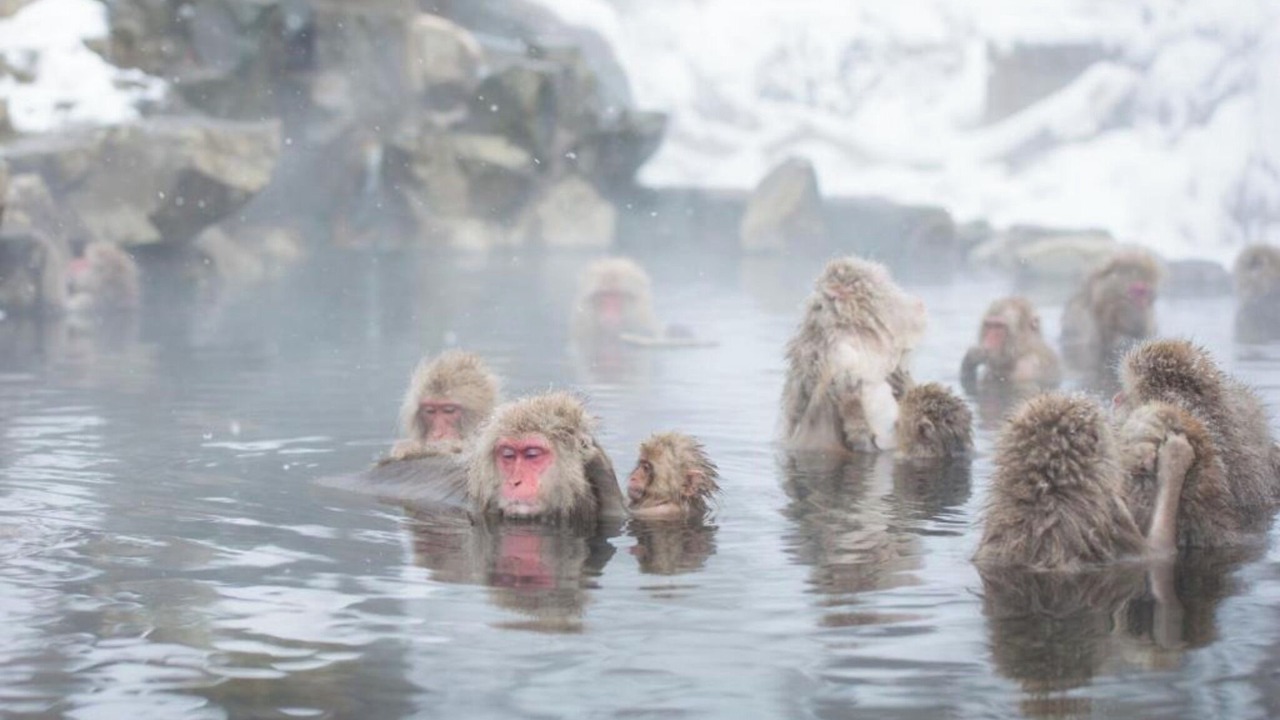 Photo of Others in Iiyama