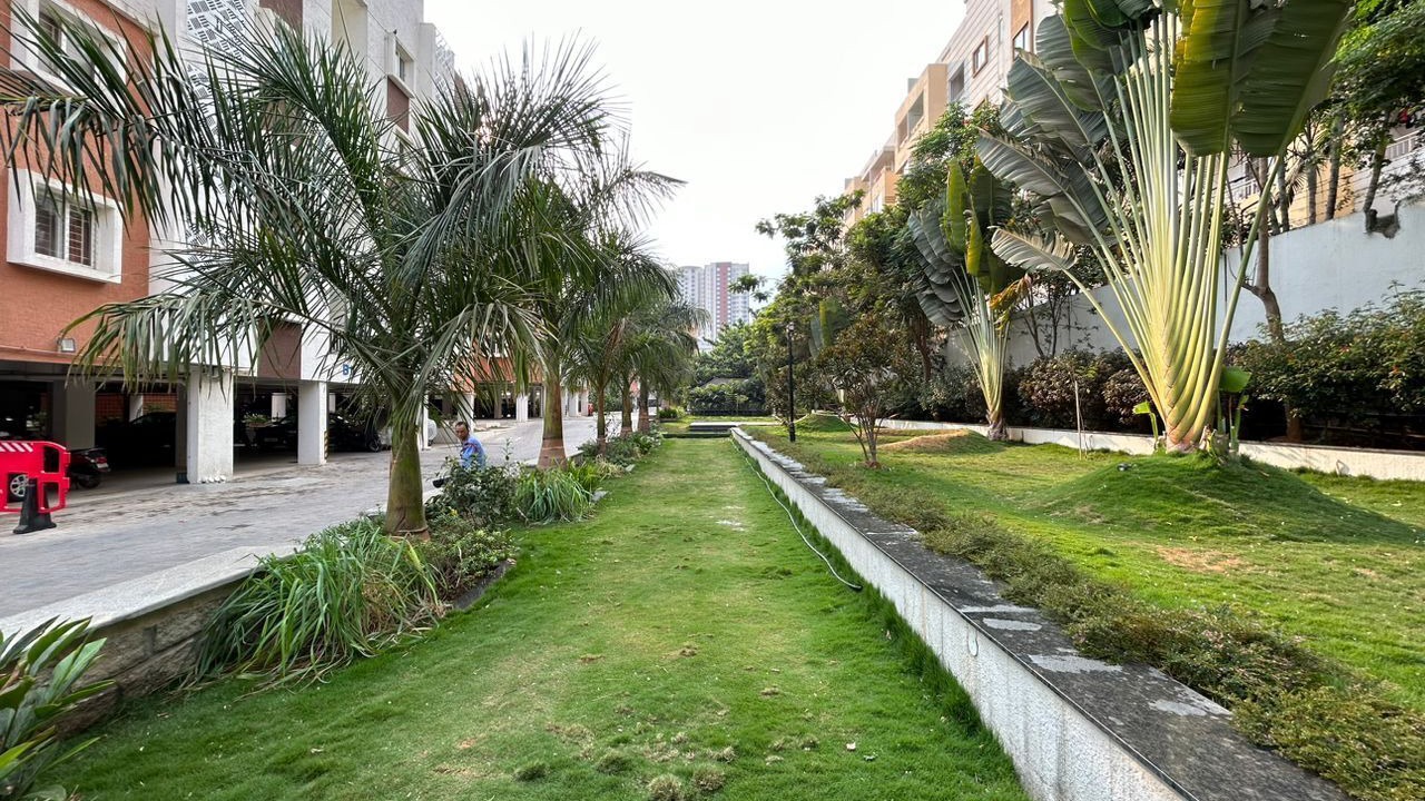 Photo of Outdoor in Whitefield