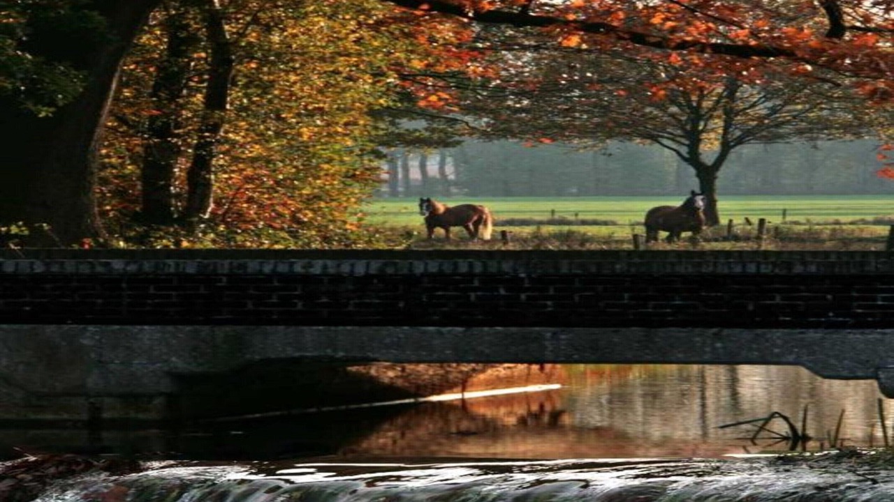Photo of Others in Municipality of Veldhoven