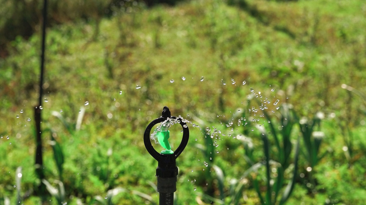 Photo of Outdoor in Welimada