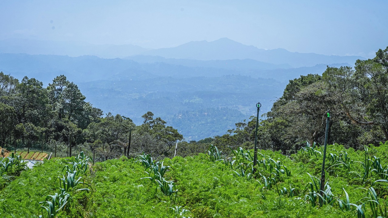 Photo of Outdoor in Welimada