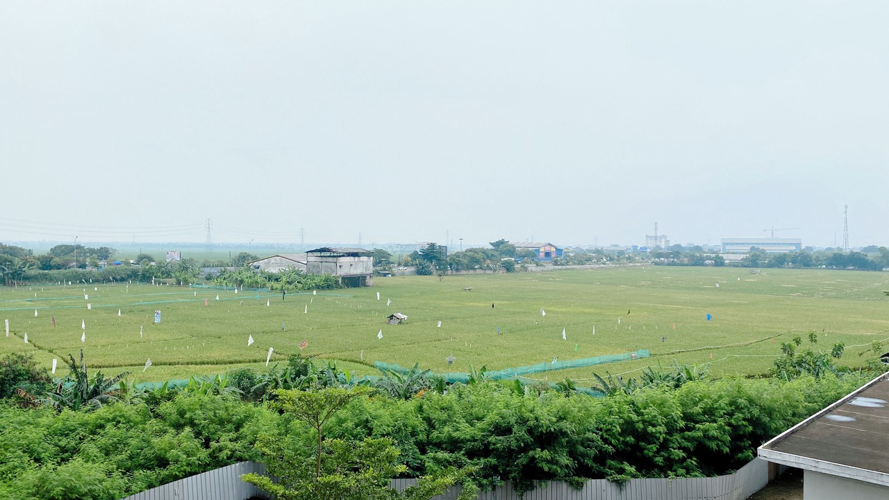 Photo of Outdoor in Karawang
