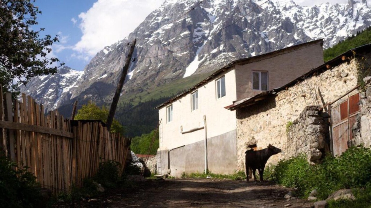 Photo of Outdoor in Mazeri