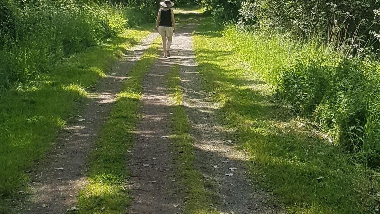Photo of Outdoor in Saint-Segal