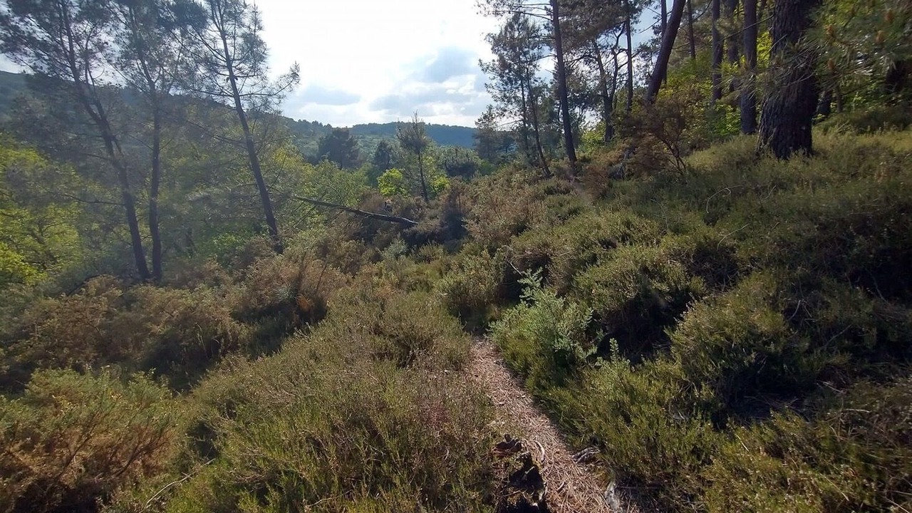 Photo of Others in Caurel