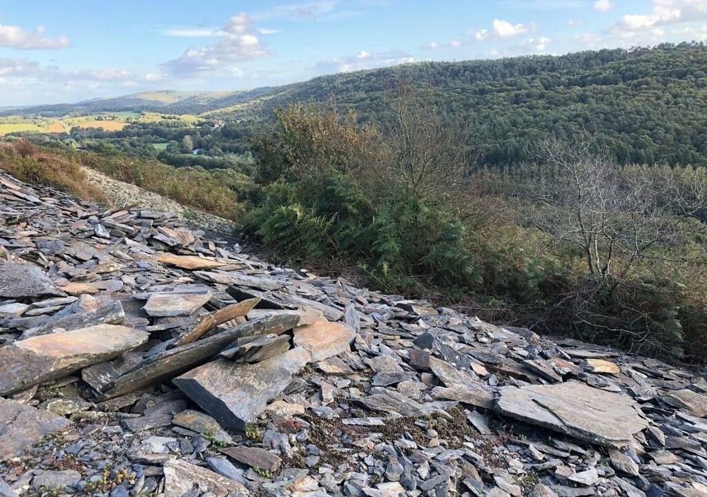 Photo of Outdoor in Caurel