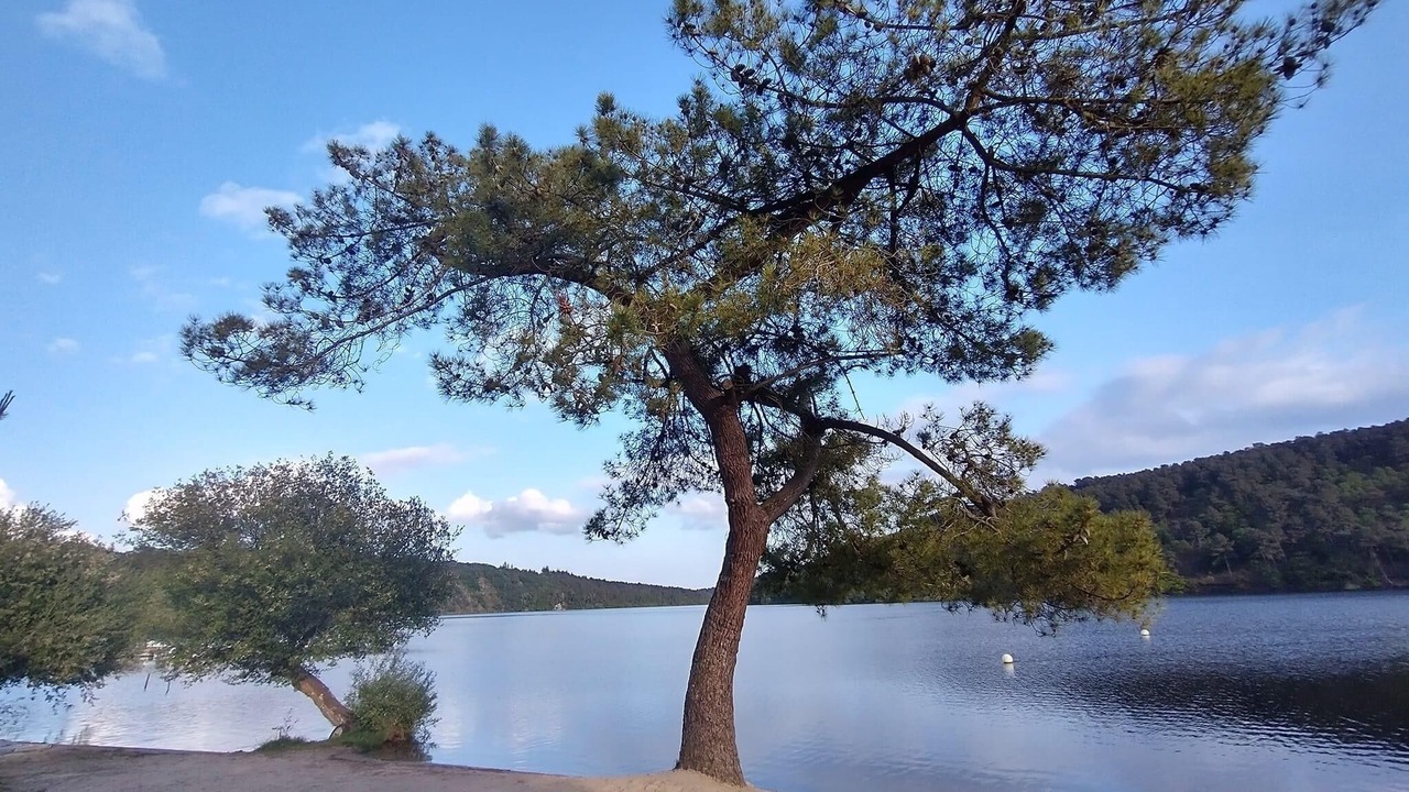 Photo of Outdoor in Caurel