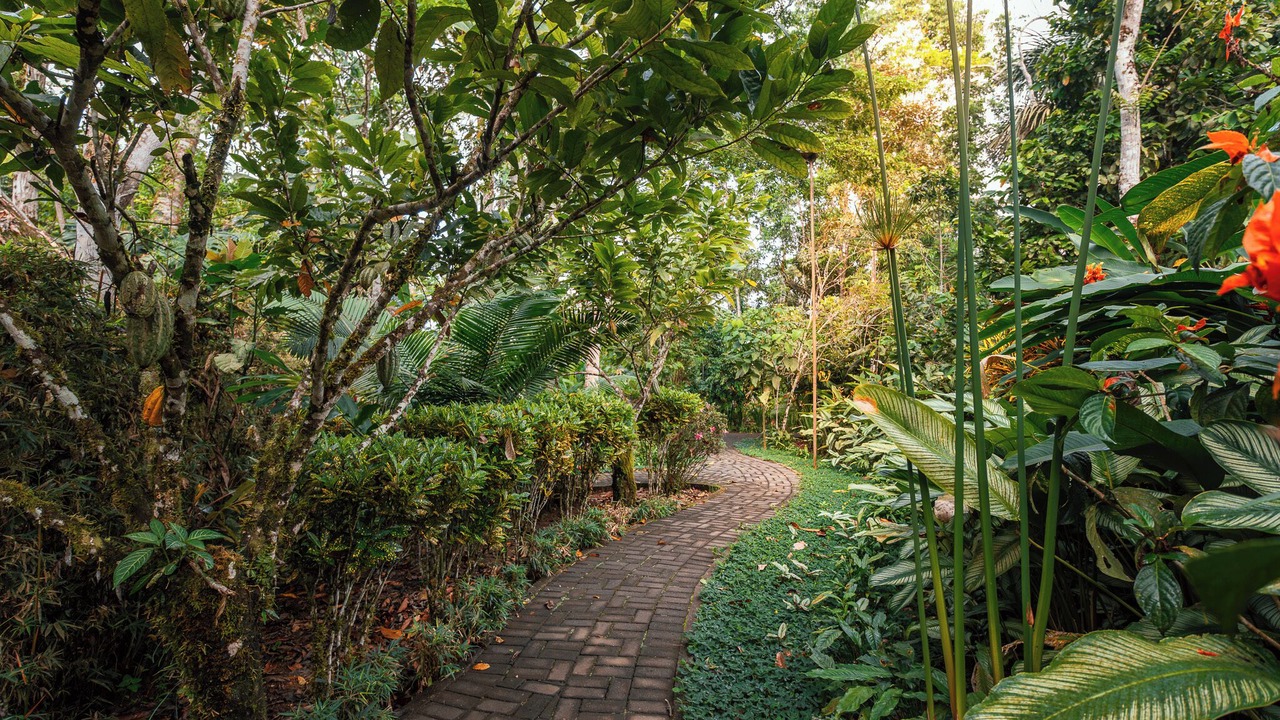 Photo of Outdoor in Misahualli