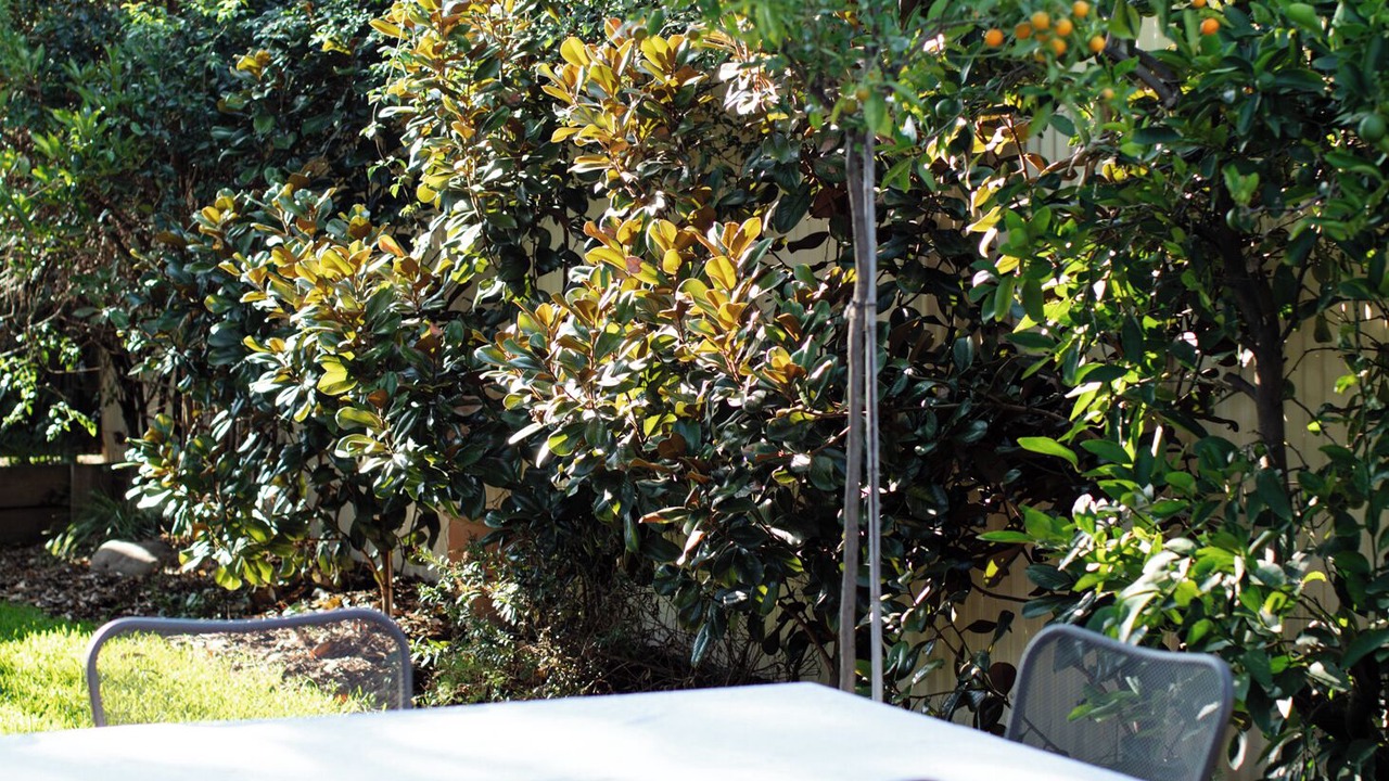 Photo of Outdoor in South Albury