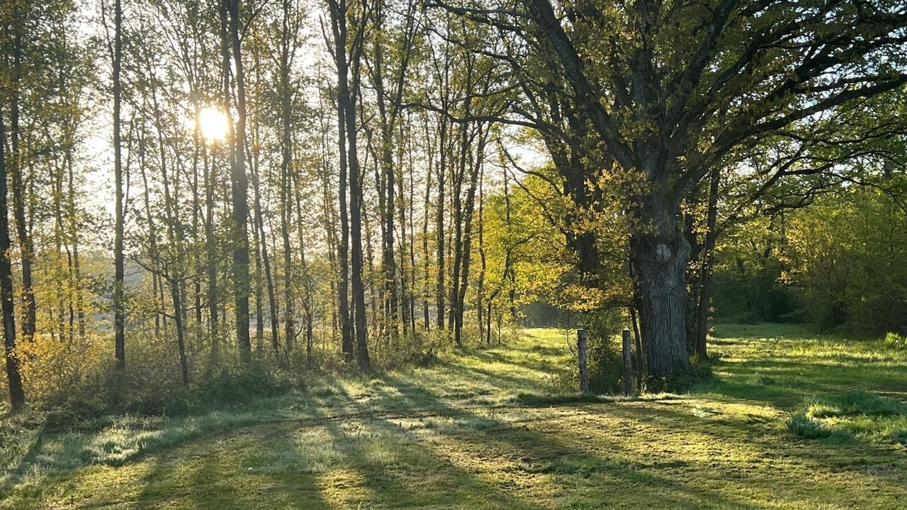 Photo of Others in Neung-sur-Beuvron