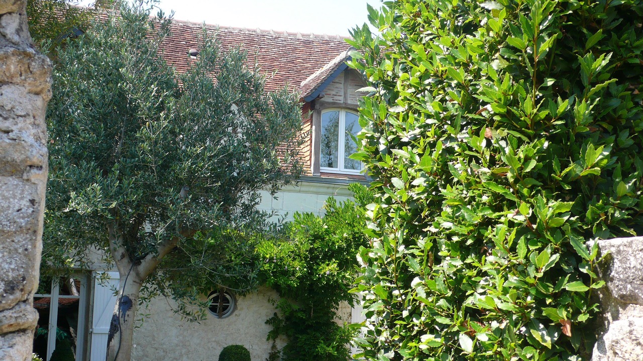 Photo of Outdoor in Ouchamps