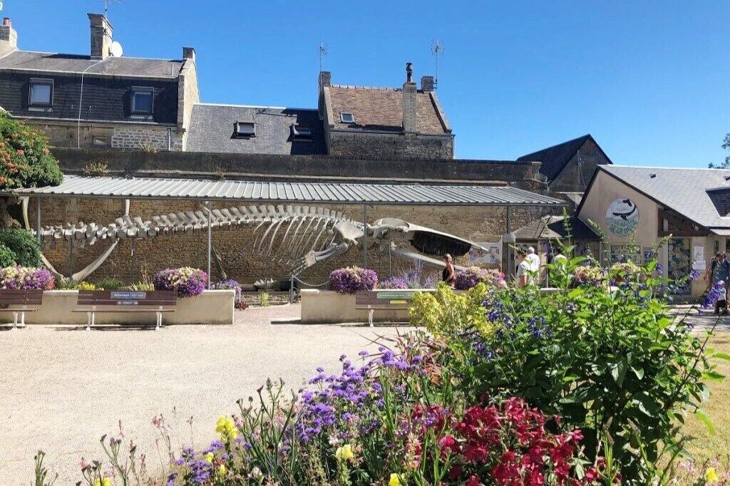 Photo of Outdoor in Luc-sur-Mer