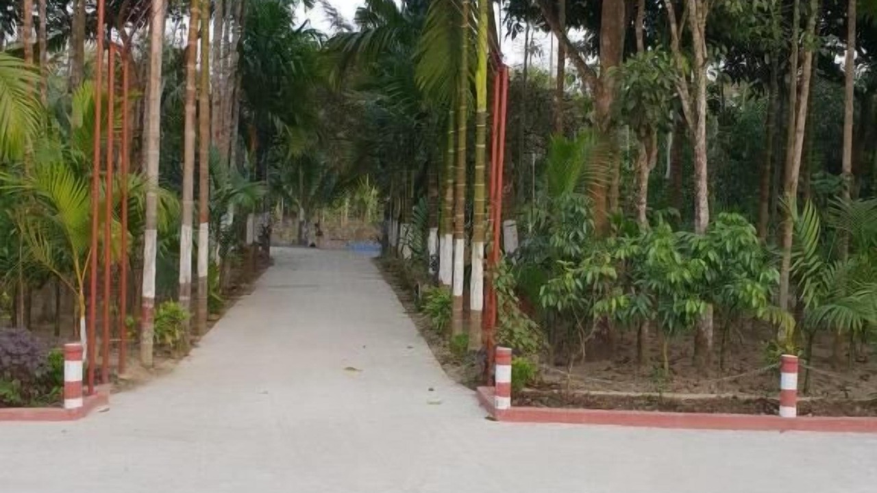 Photo of Outdoor in Maulvi Bazar