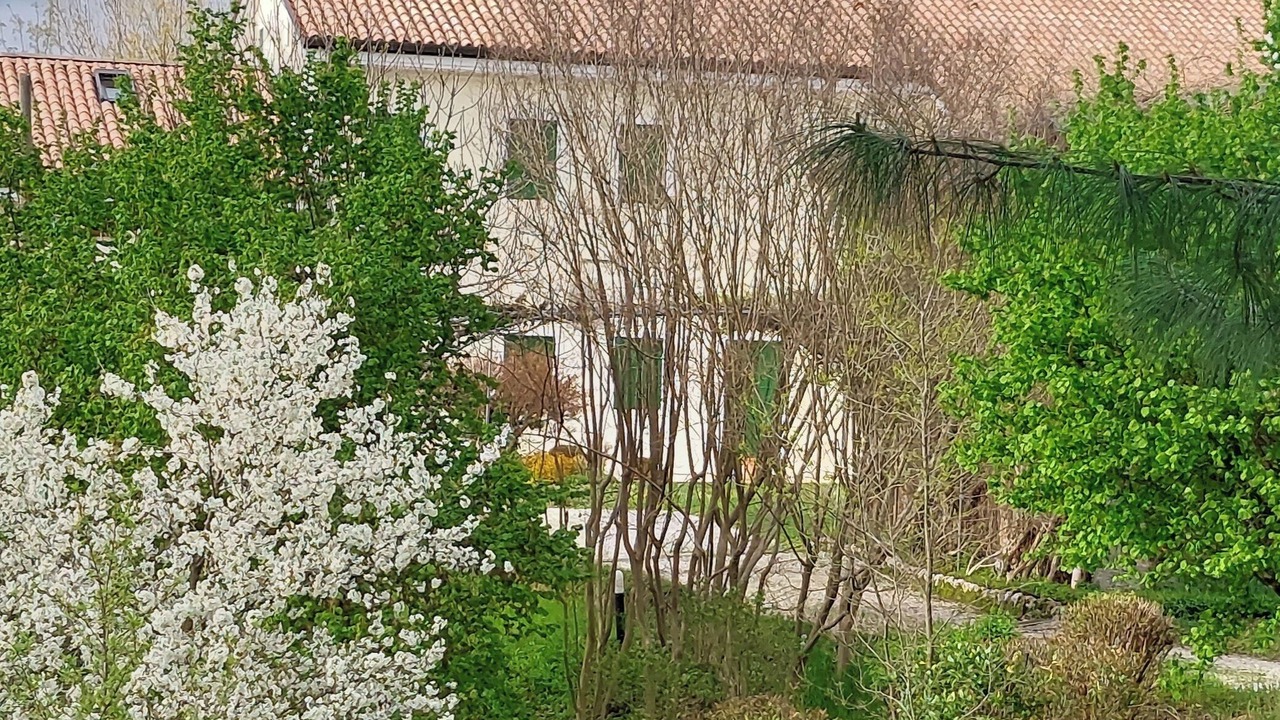 Photo of Outdoor in Giavera del Montello