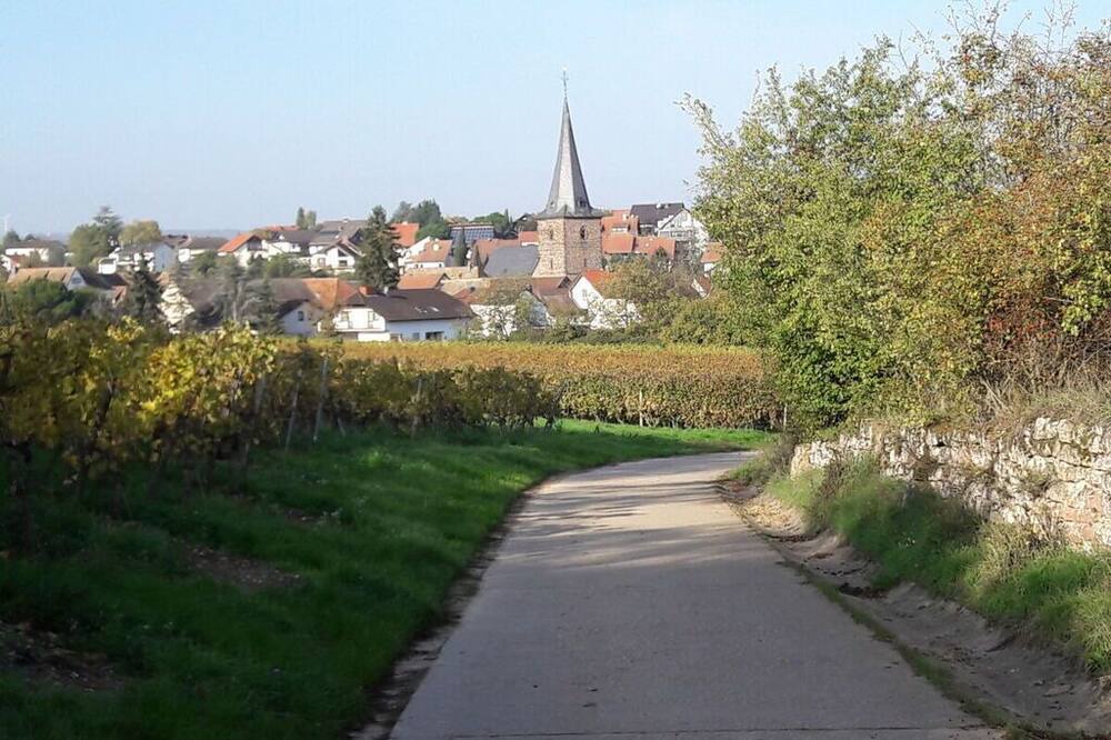Photo of Outdoor in Grosskarlbach