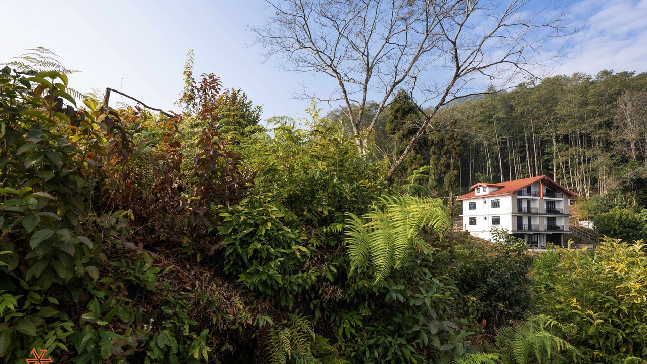 Photo of Outdoor in Geyzing
