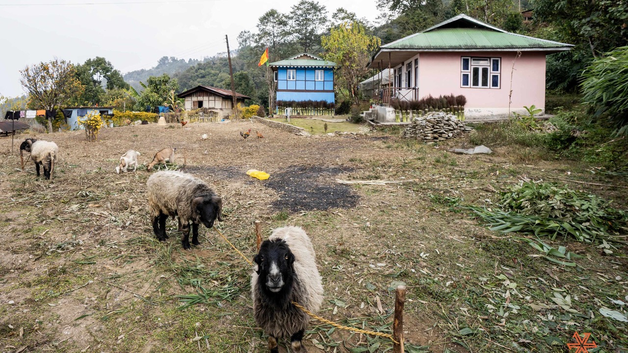 Photo of Others in Geyzing