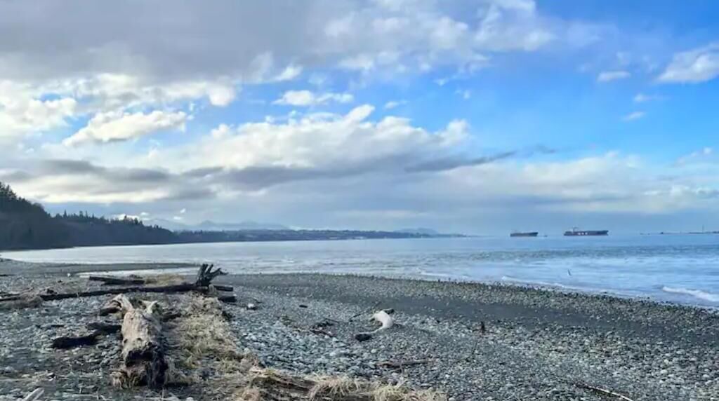 Photo of Others in Port Angeles East