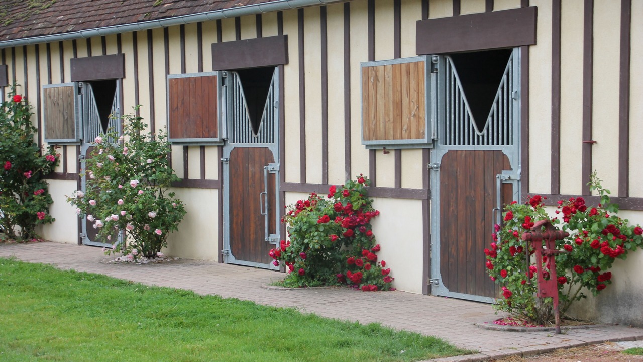 Photo of Outdoor in Roullee