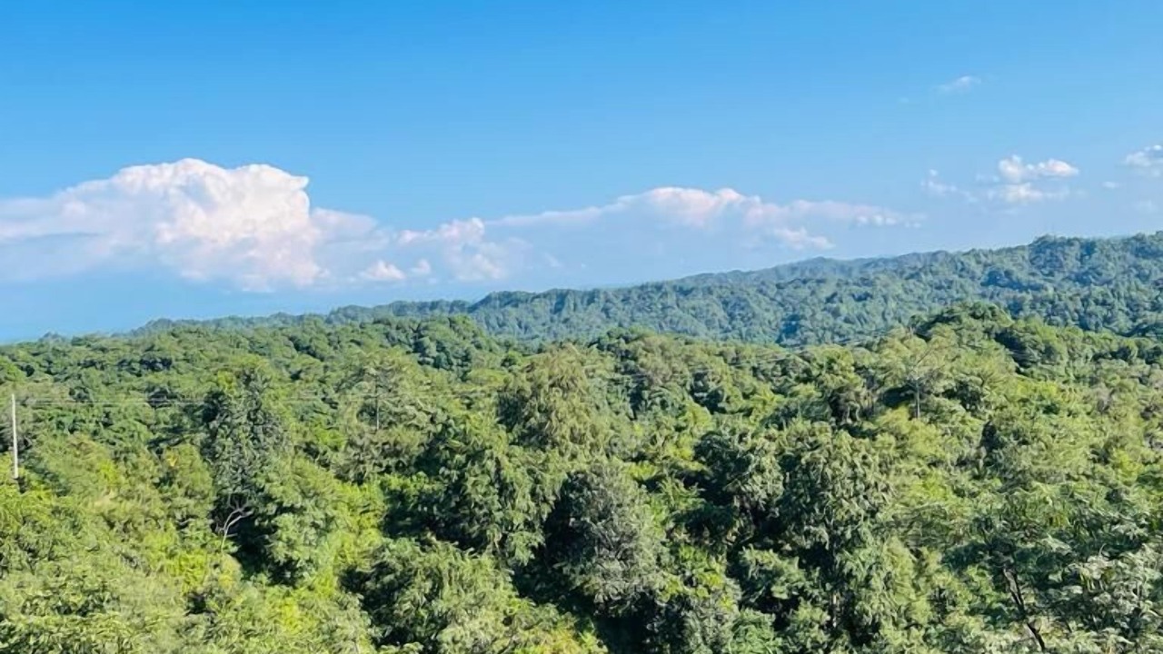 Photo of Outdoor in Dhaliara