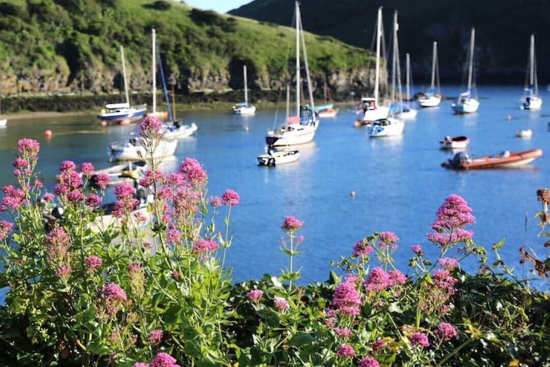Photo of Others in Solva