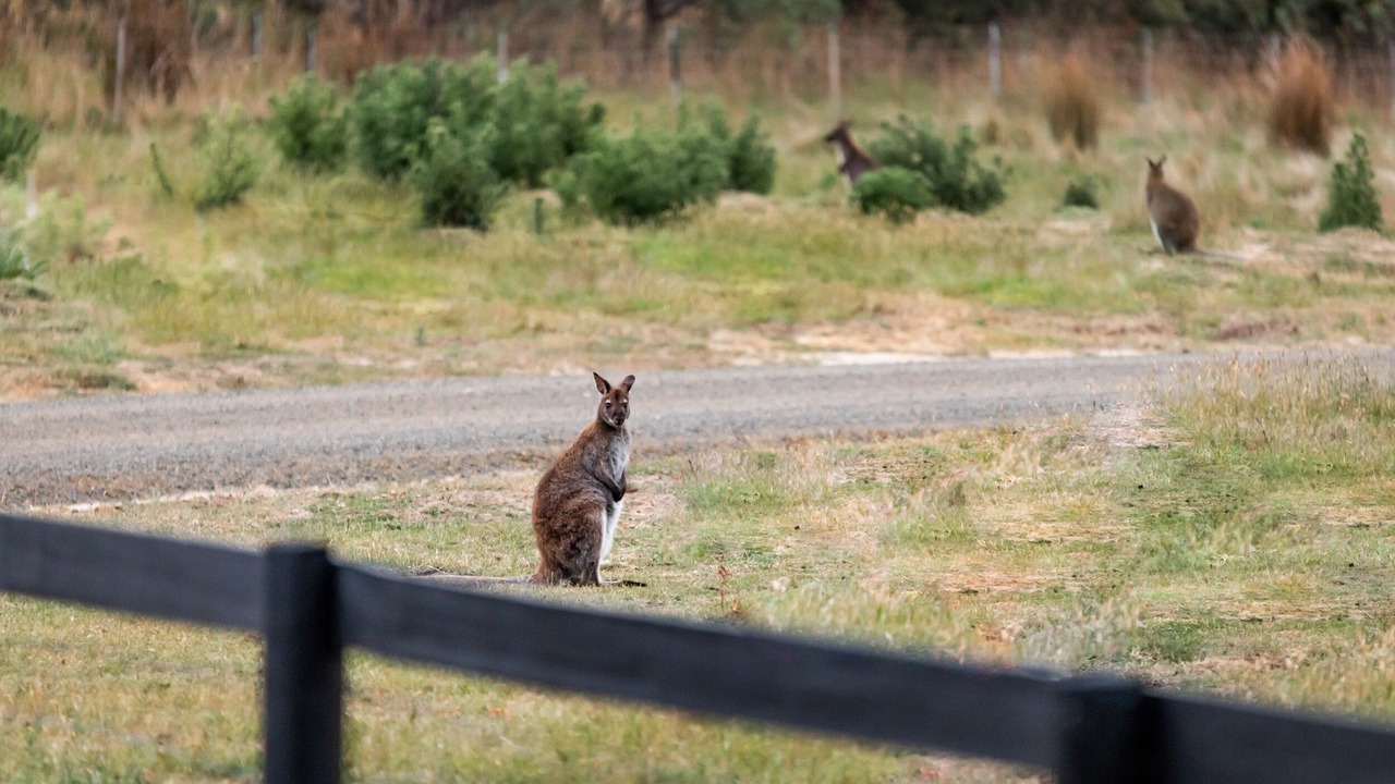 Photo of Outdoor in Carlton River