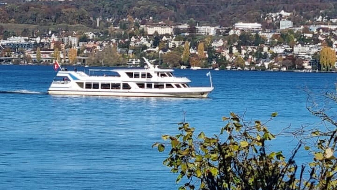 Photo of Others in Horgen District