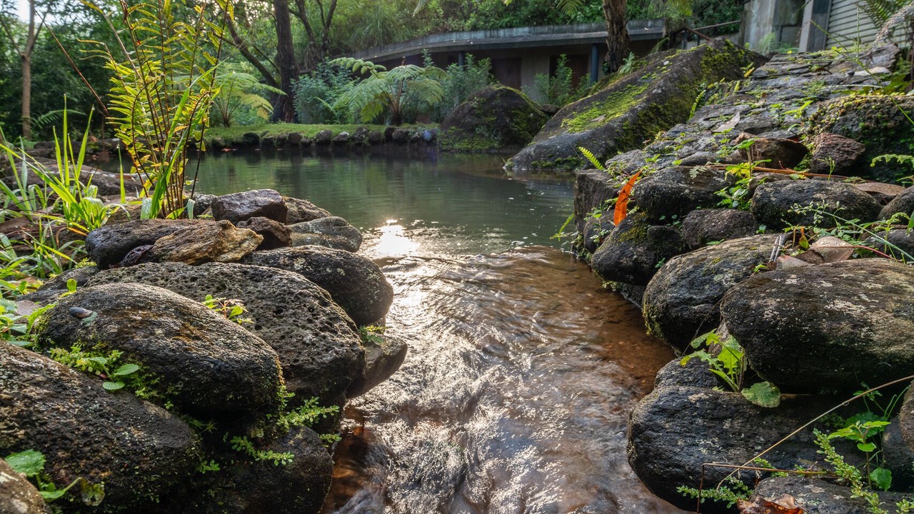 Photo of Outdoor in Lindula