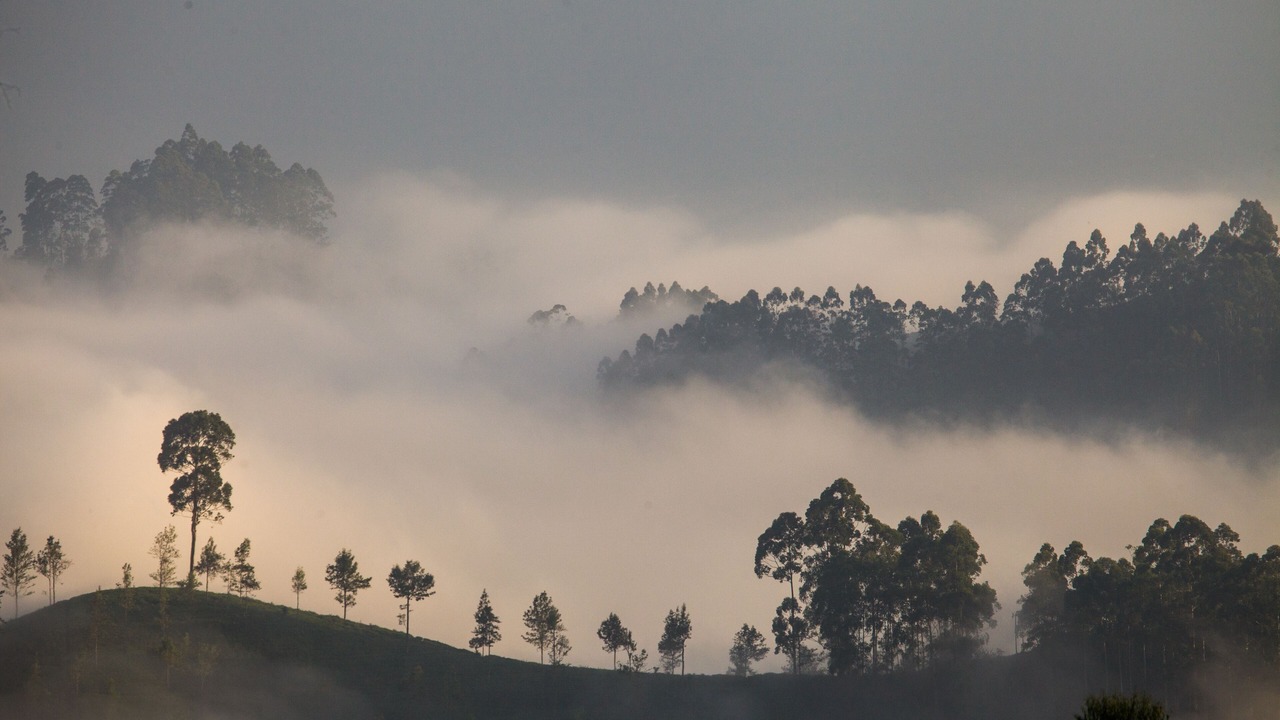 Photo of Others in Lindula