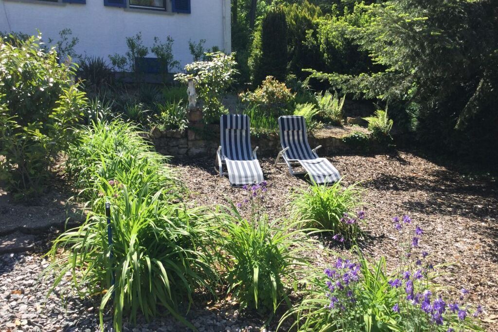 Photo of Outdoor in Wachenheim an der Weinstrasse