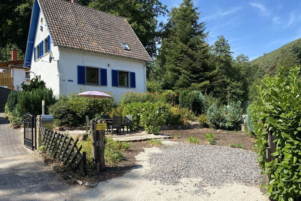 Photo of Outdoor in Wachenheim an der Weinstrasse