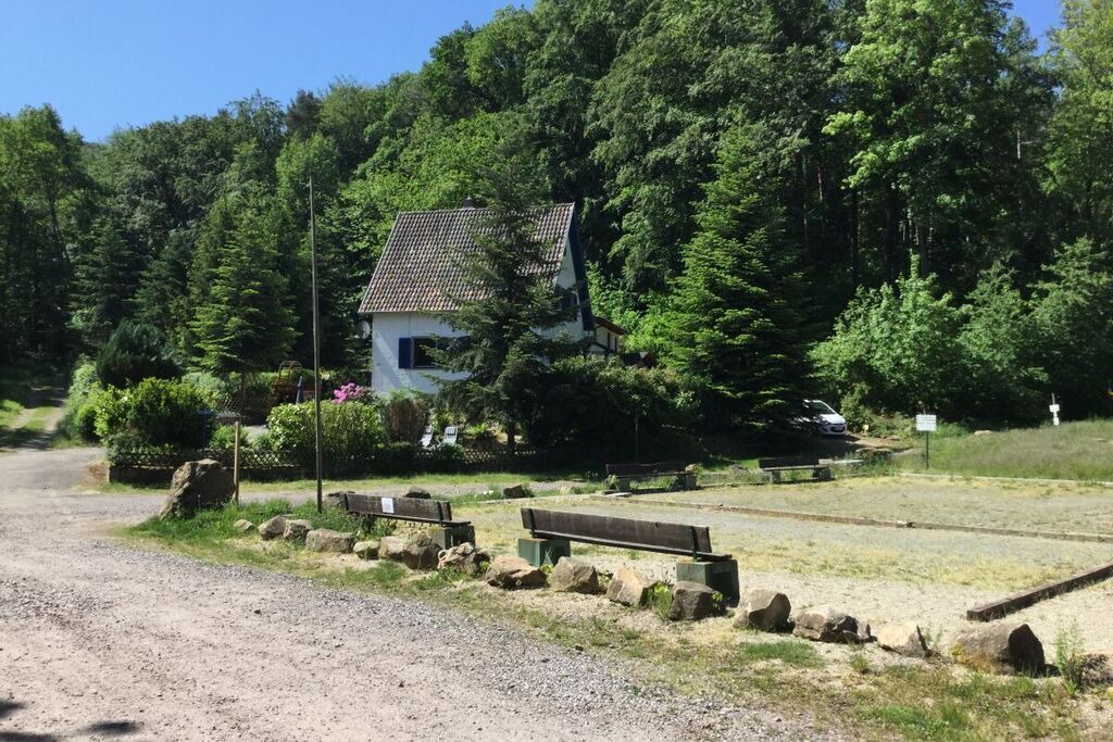 Photo of Others in Wachenheim an der Weinstrasse