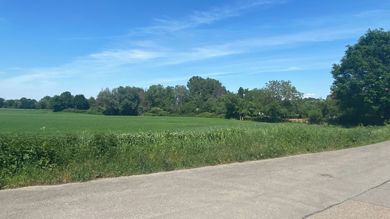 Photo of Outdoor in Schwetzingen