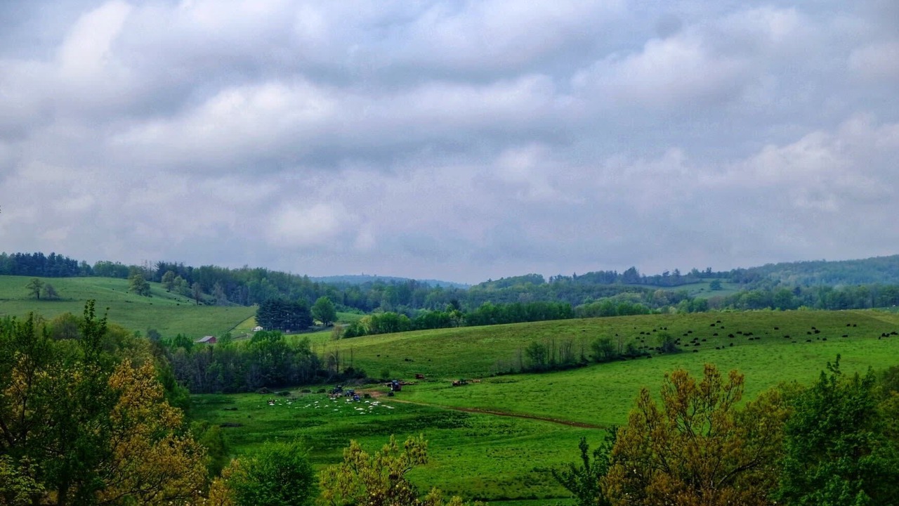 Photo of Others in Meadows Of Dan