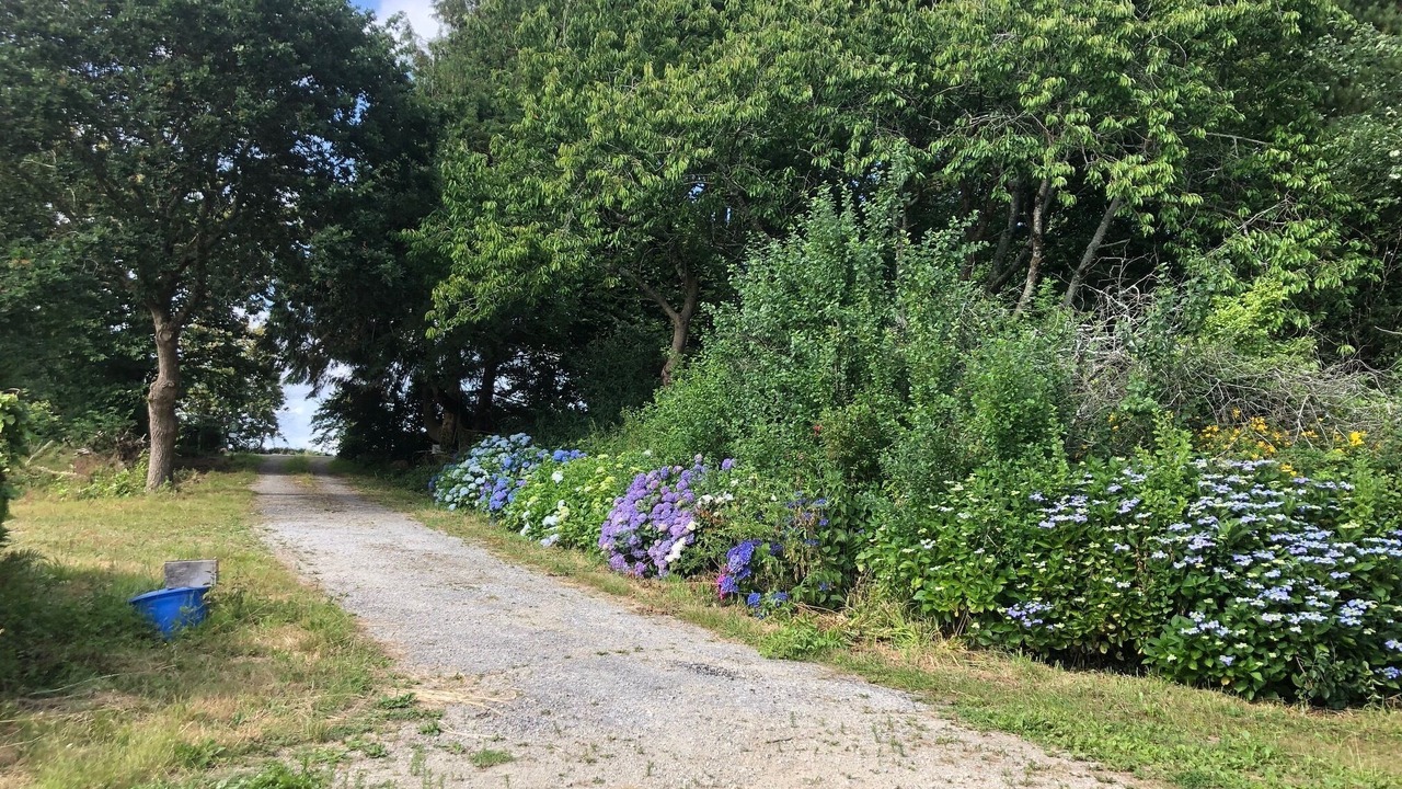 Photo of Outdoor in Quemeneven