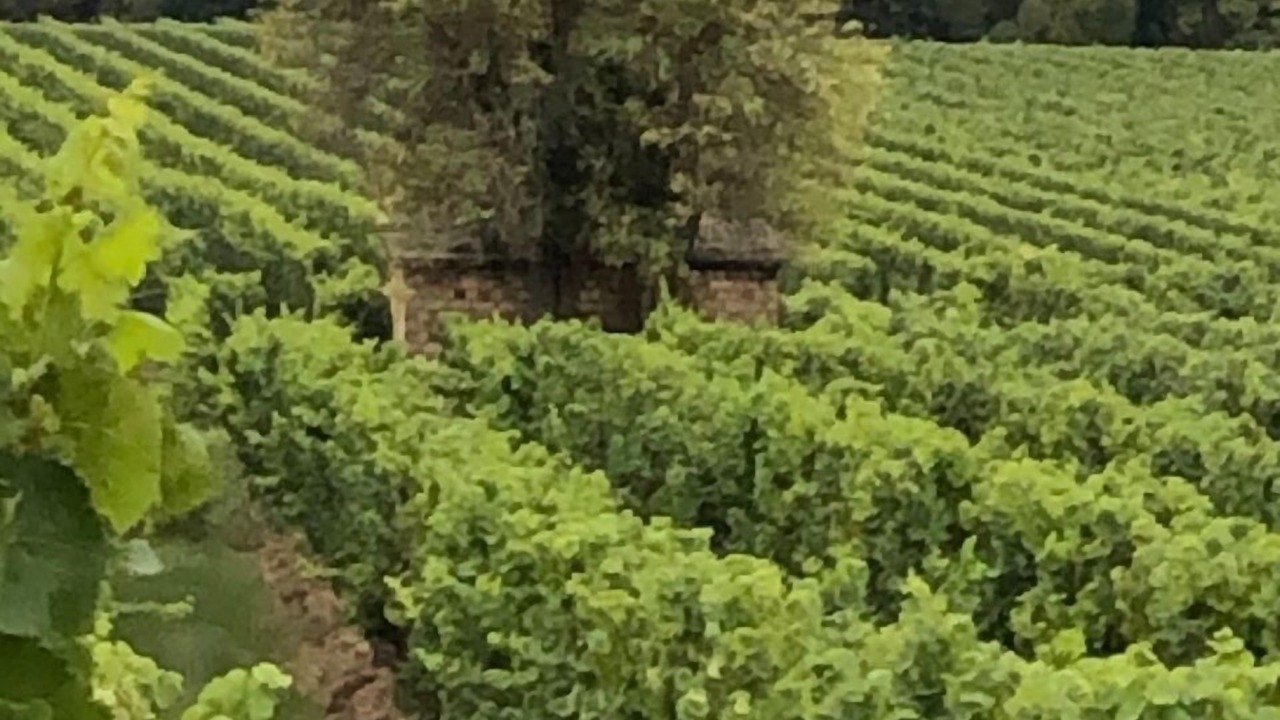 Photo of Others in Gundersheim