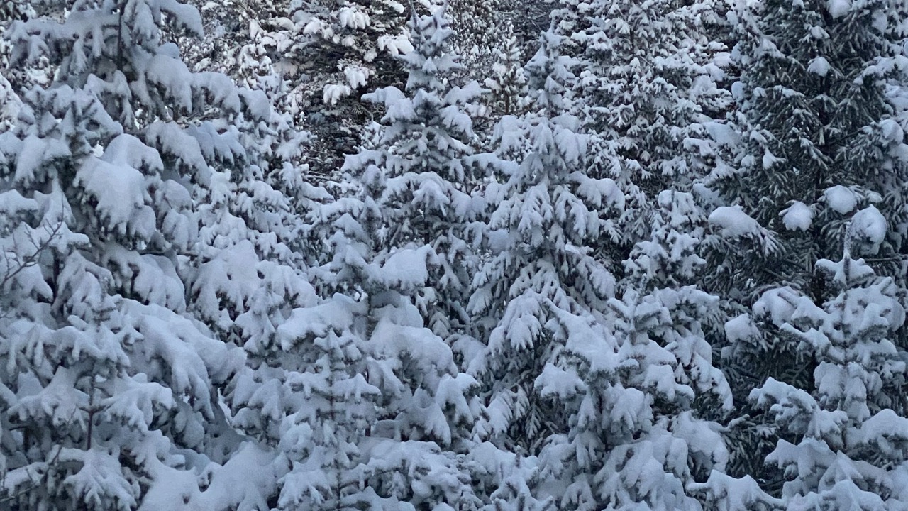 Photo of Outdoor in Coal Creek Canyon