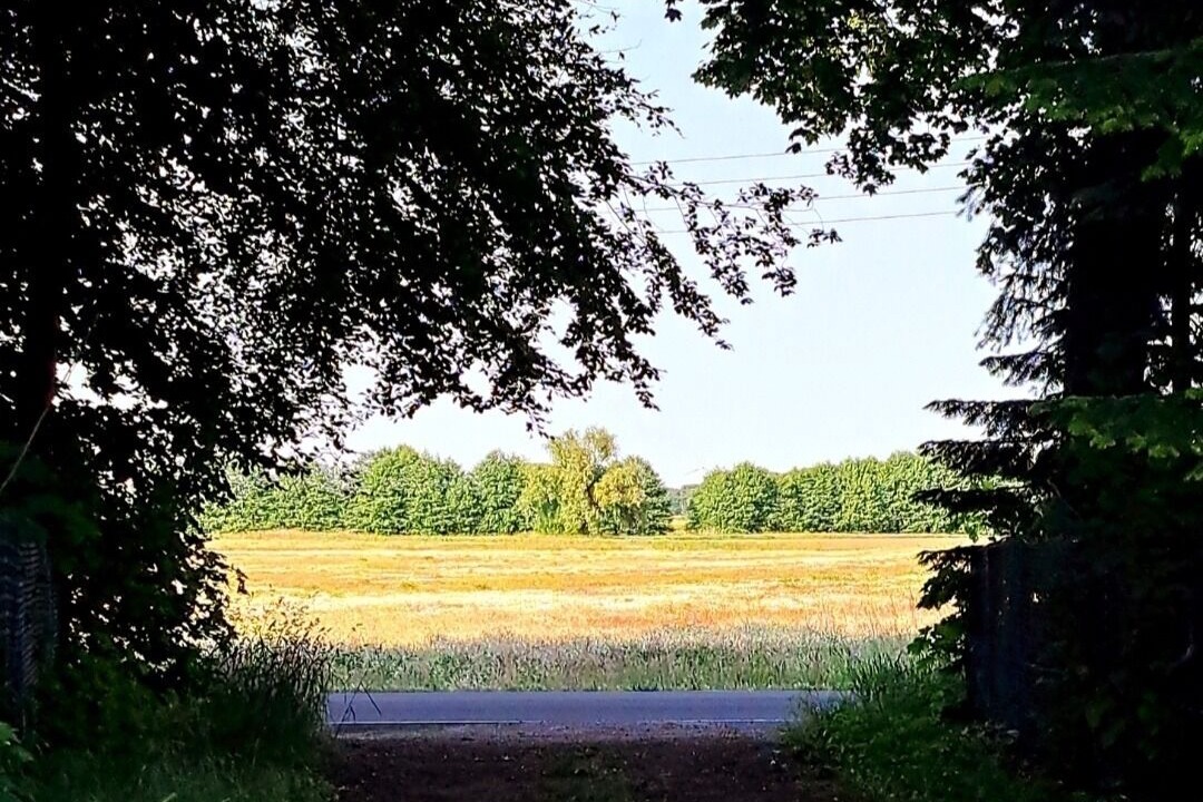 Photo of Others in Oberhavel