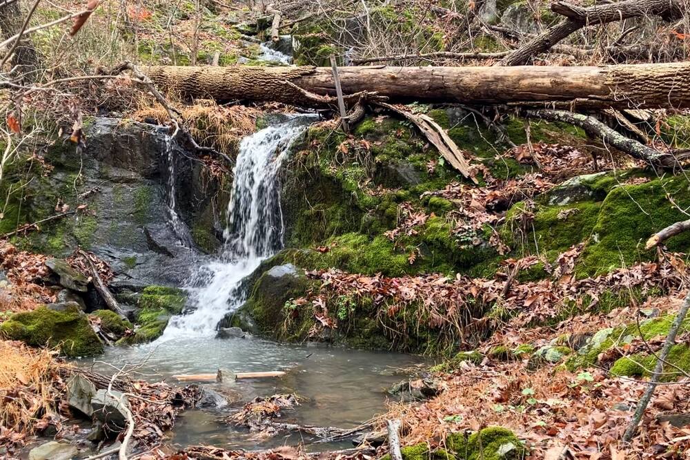 Photo of Outdoor in Rileyville