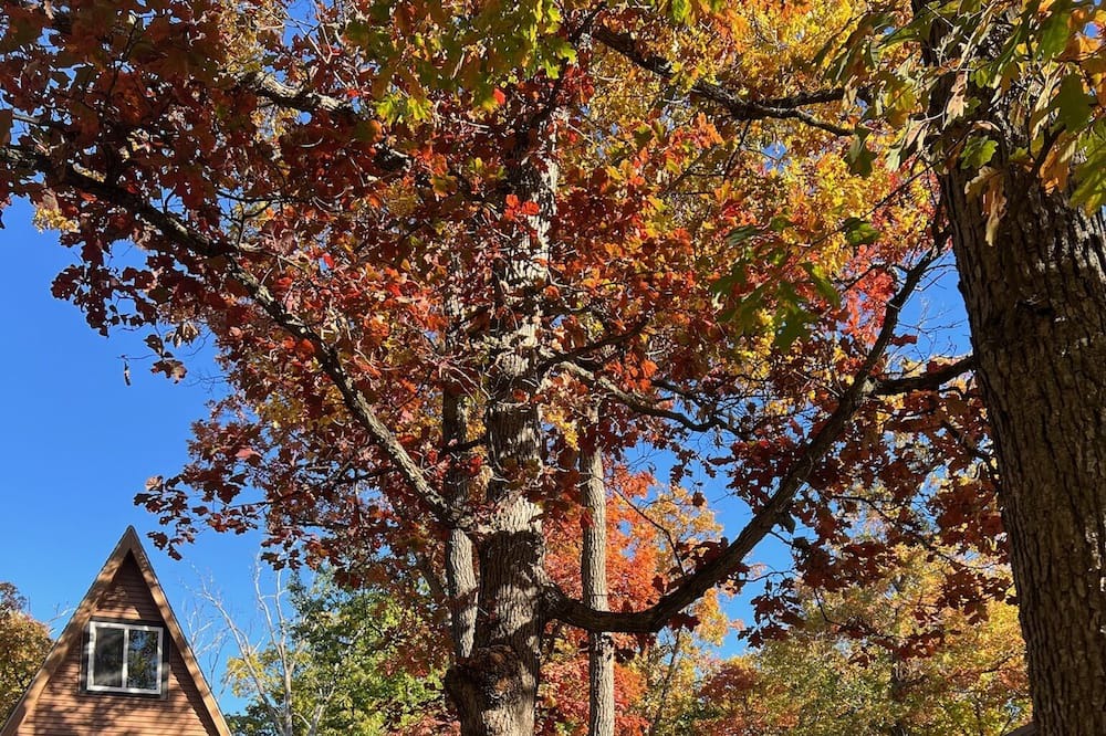 Photo of Outdoor in Oxford