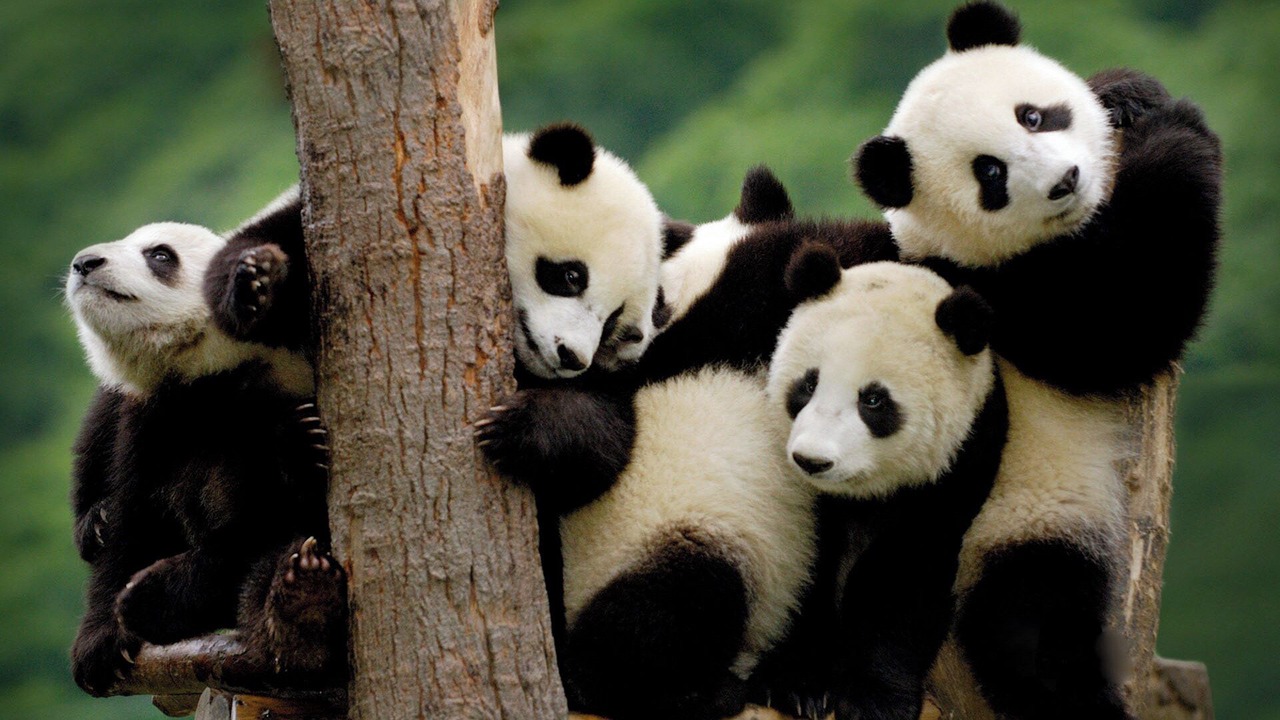 Photo of Others in Pudong