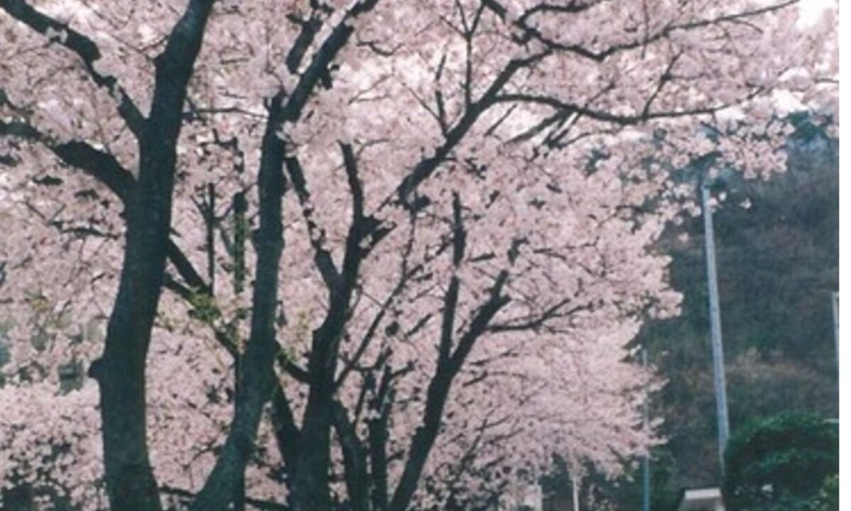 Photo of Outdoor in Togura Kamiyamada Onsen
